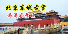 性感少妇的骚穴中国北京-东城古宫旅游风景区